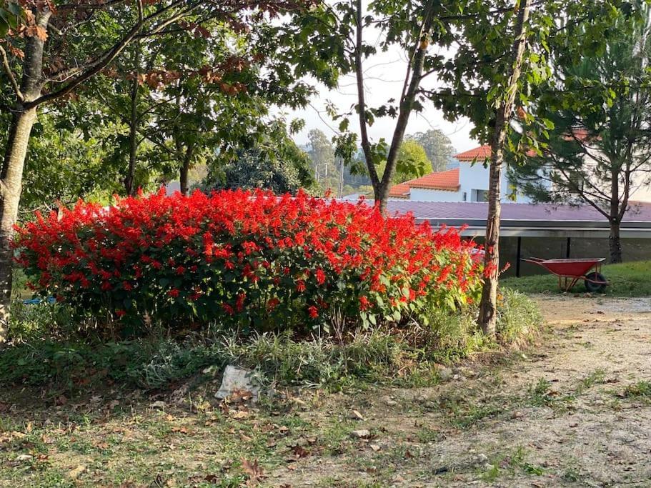 Casa Do Carvalhal - Quinta Do Soldado Βίλα Alquerubim Εξωτερικό φωτογραφία