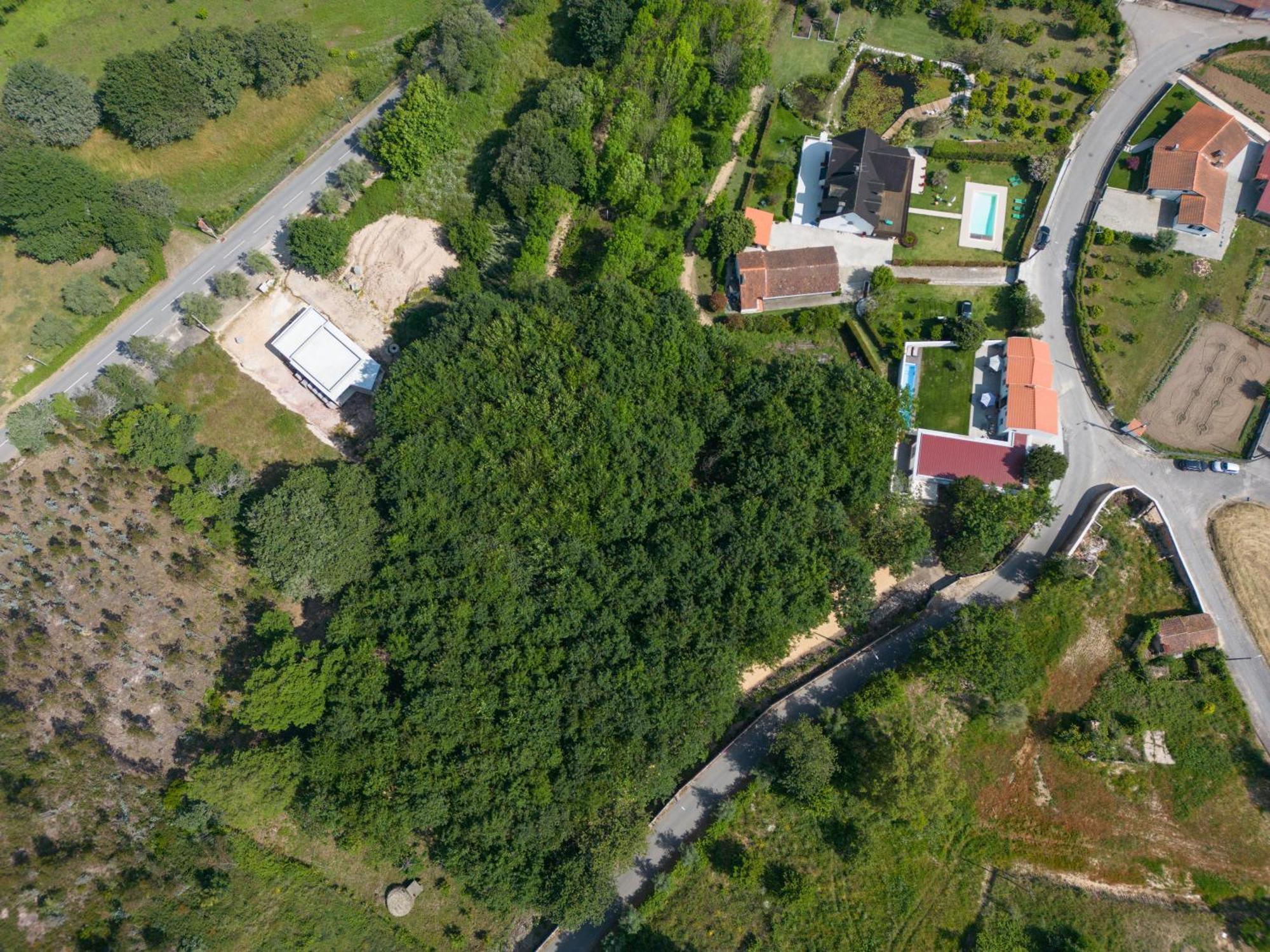 Casa Do Carvalhal - Quinta Do Soldado Βίλα Alquerubim Εξωτερικό φωτογραφία